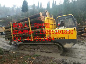 濰坊品牌木材運(yùn)輸車廠商——山東木材運(yùn)輸?shù)目煽窟x擇