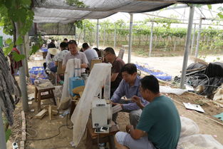 山東省農業科學院農產品所三夏生產工作進展順利，銷售態勢良好