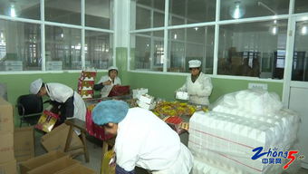 生產工藝現代化為農產品質量保駕護航，助力銷售拓展