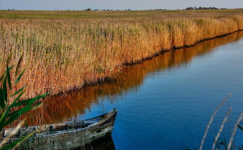 星象與現(xiàn)實 獅子座的熾熱之愛與治水之路